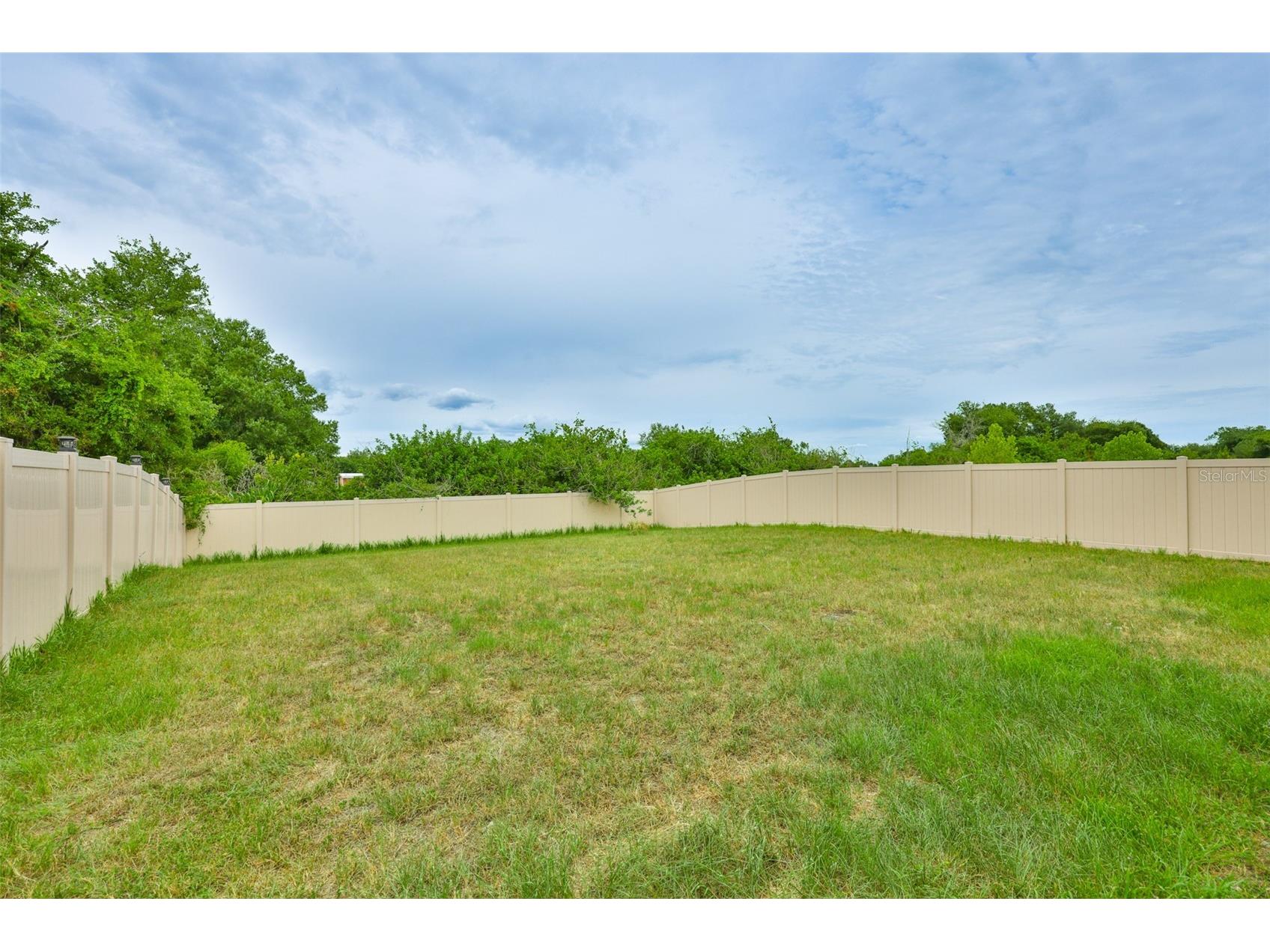 5244 Fiddle Fig Avenue Wimauma FL 33598 TB8518706 image34