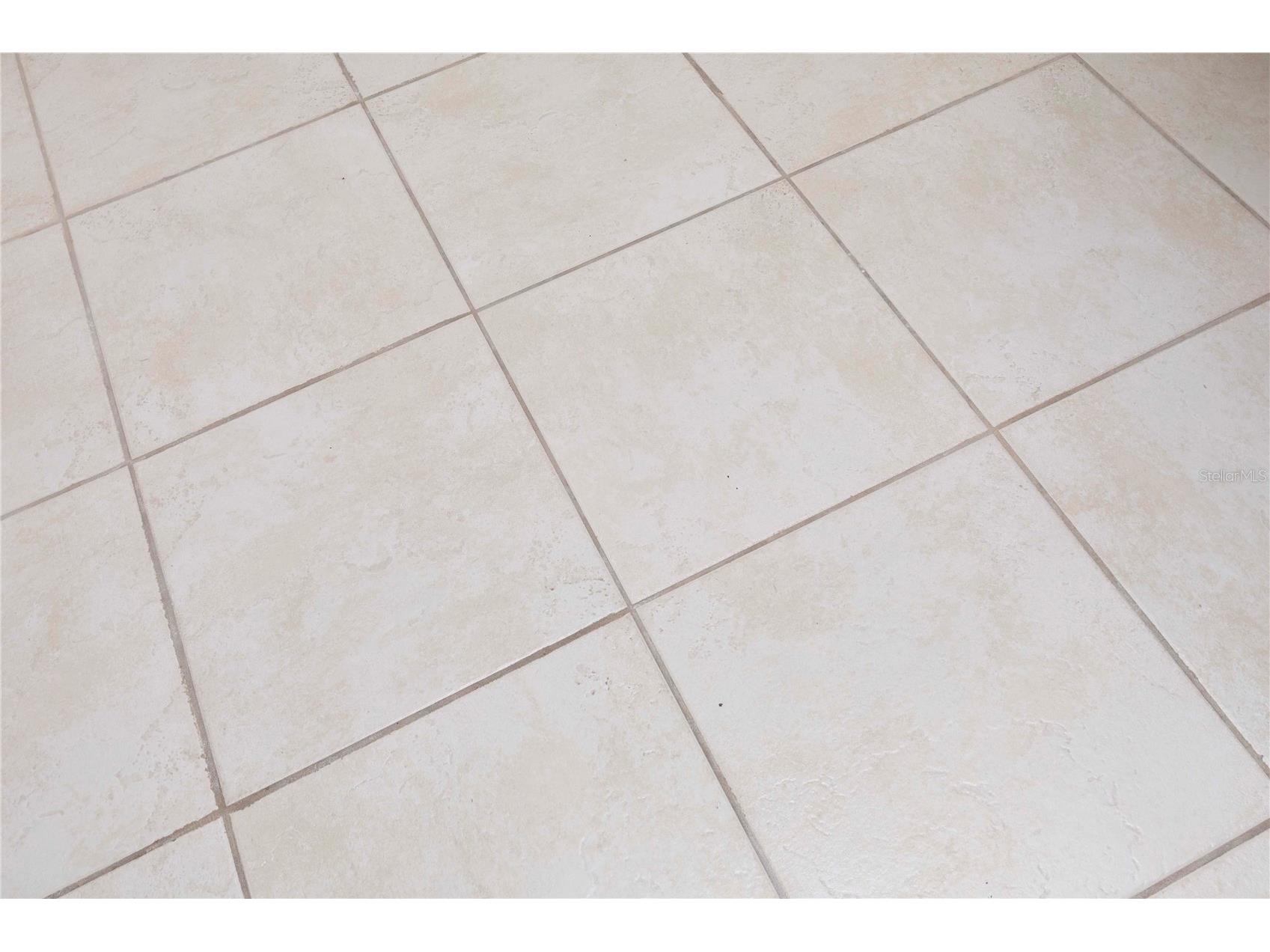 5245 Amulet Drive #108 New Port Richey FL 34652 W7878684 image10