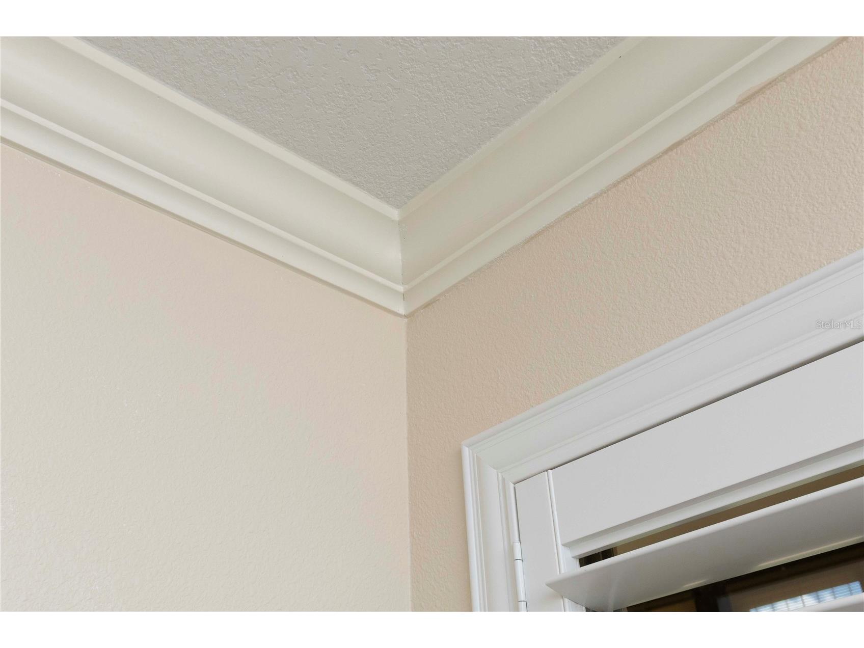 5245 Amulet Drive #108 New Port Richey FL 34652 W7878684 image20