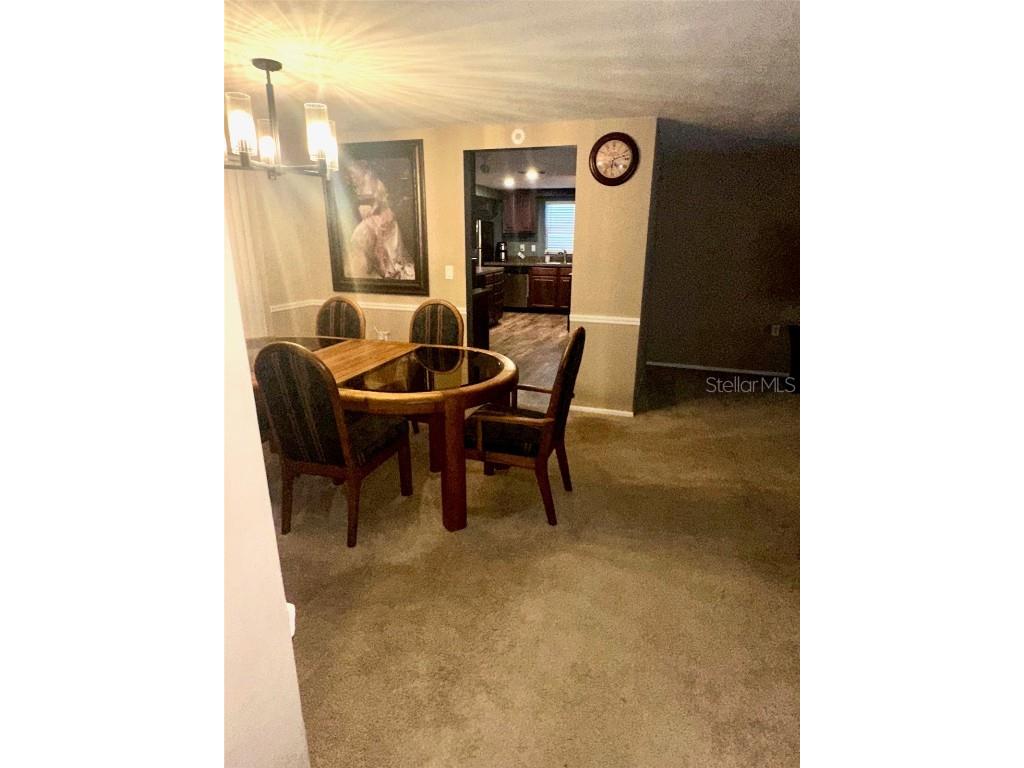 5245 Bluejay Drive Holiday FL 34690 TB8455437 image4