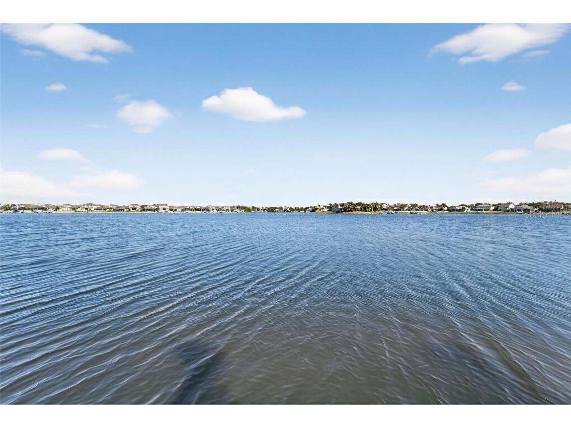 5245 Brighton Shore Drive Apollo Beach FL 33572 TB8450653 image14