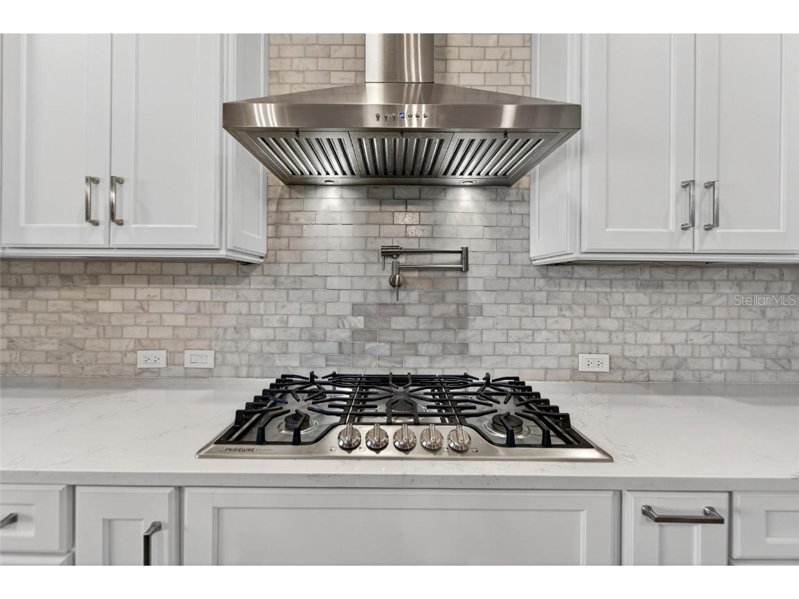 5245 Brighton Shore Drive Apollo Beach FL 33572 TB8450653 image16