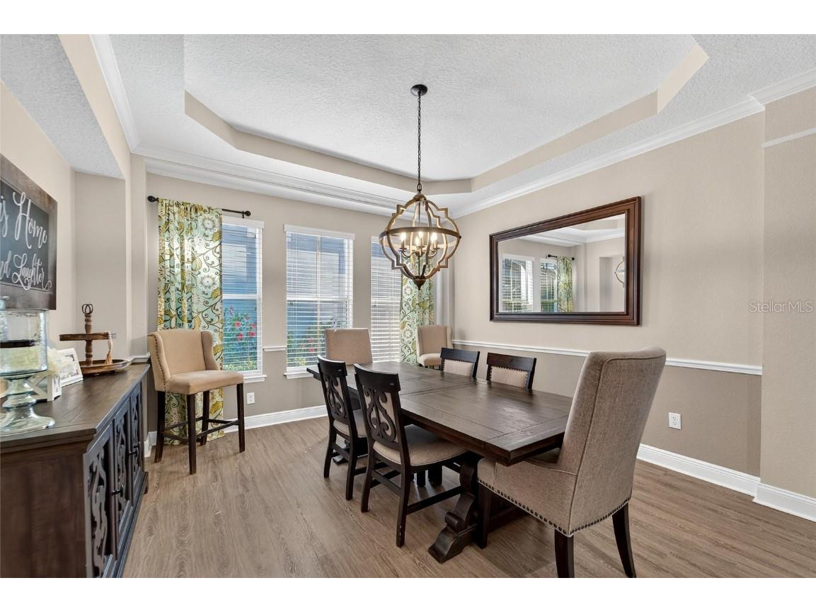 5245 Brighton Shore Drive Apollo Beach FL 33572 TB8450653 image29