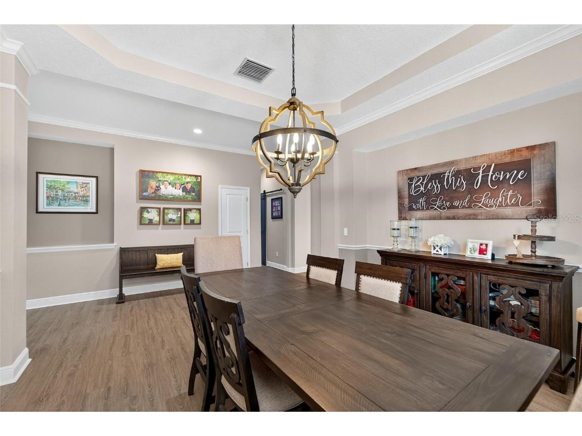 5245 Brighton Shore Drive Apollo Beach FL 33572 TB8450653 image30