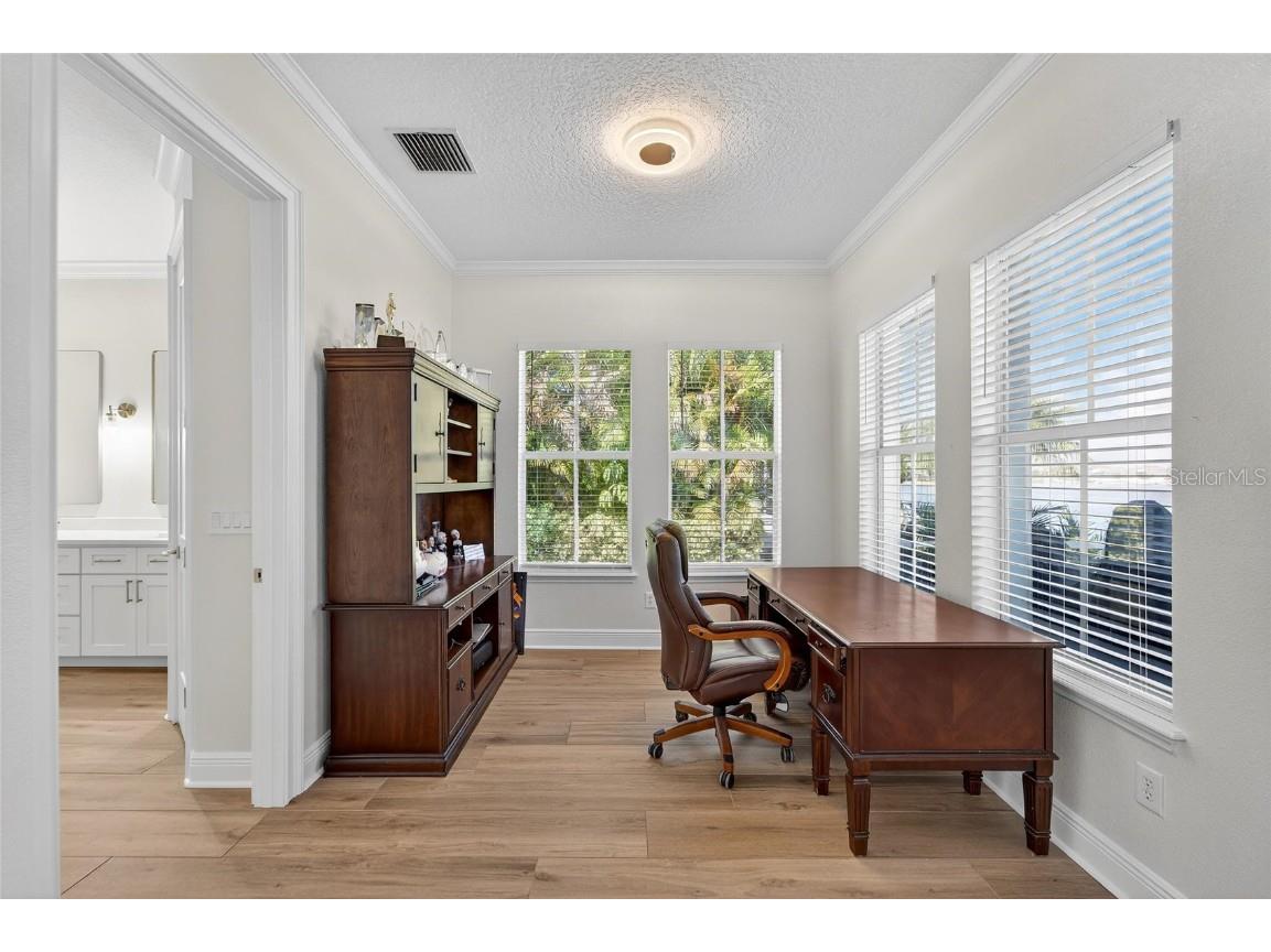 5245 Brighton Shore Drive Apollo Beach FL 33572 TB8450653 image48