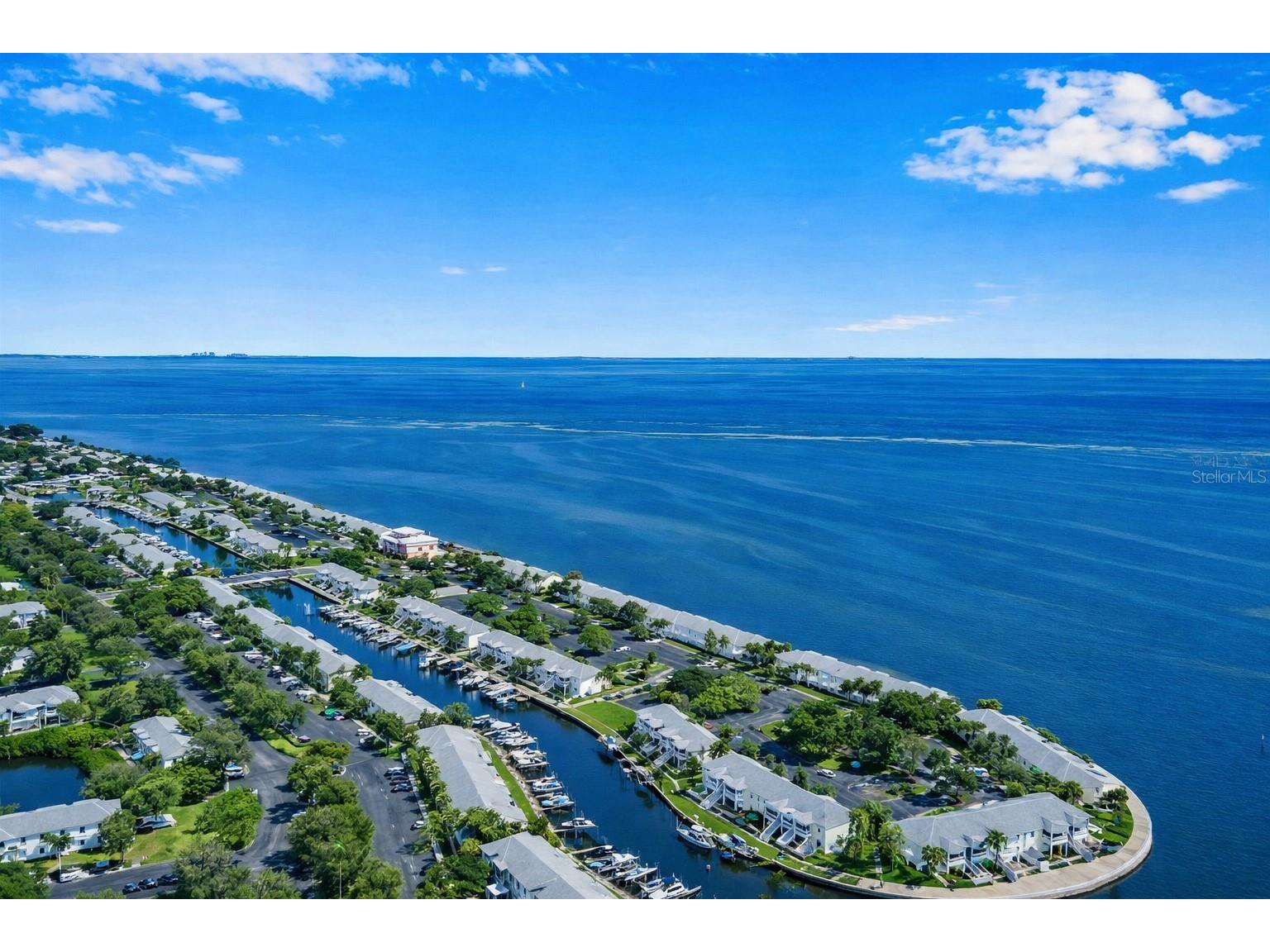 5245 Coquina Key Drive SE #D Saint Petersburg FL 33705 TB8479406 image1