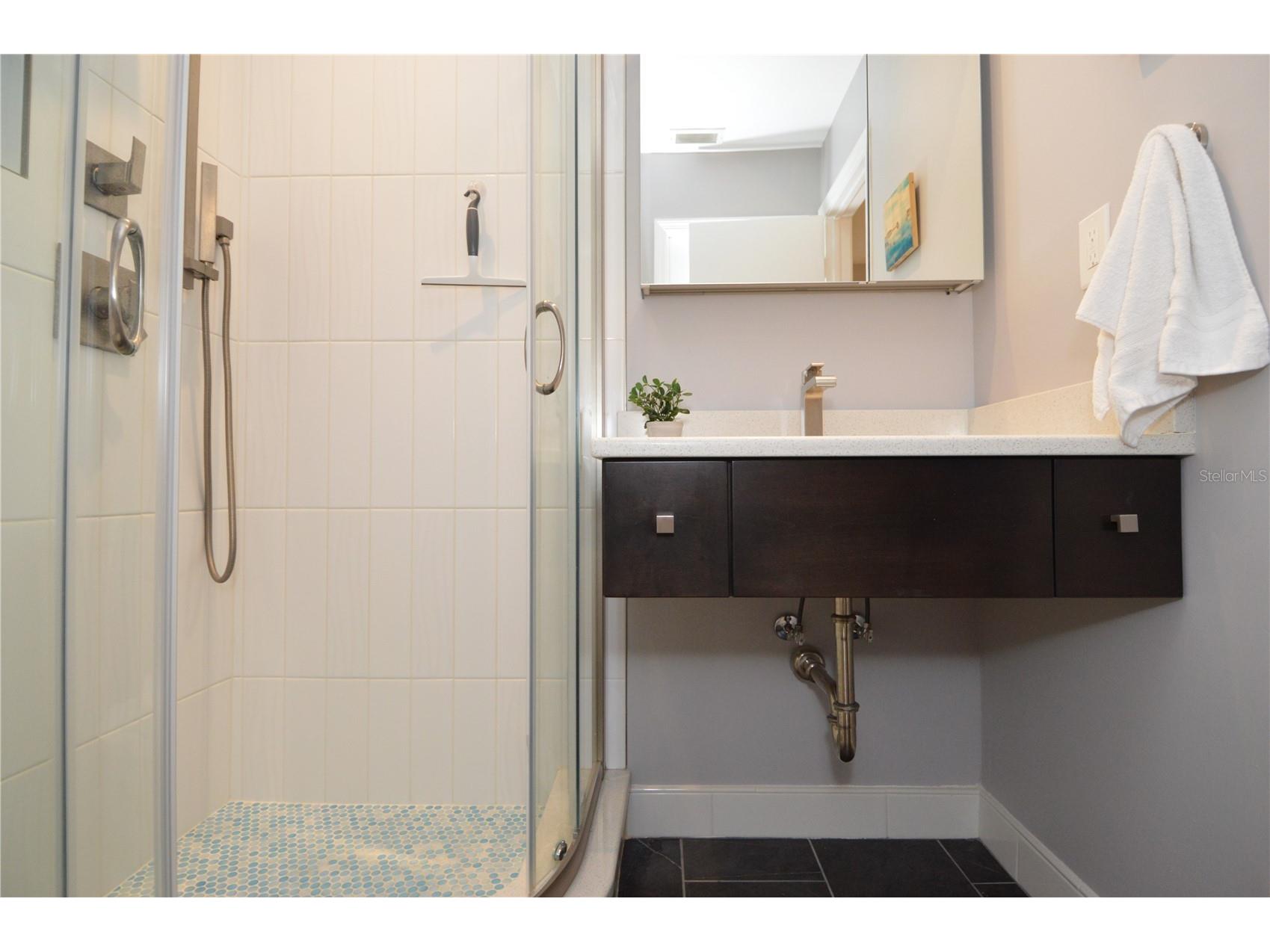 5245 Coquina Key Drive SE #D Saint Petersburg FL 33705 TB8479406 image28