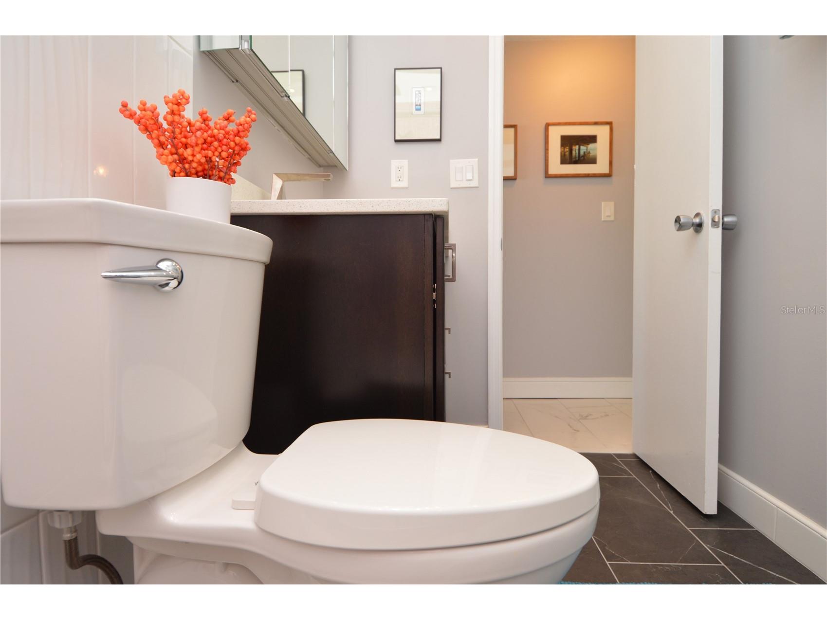 5245 Coquina Key Drive SE #D Saint Petersburg FL 33705 TB8479406 image38