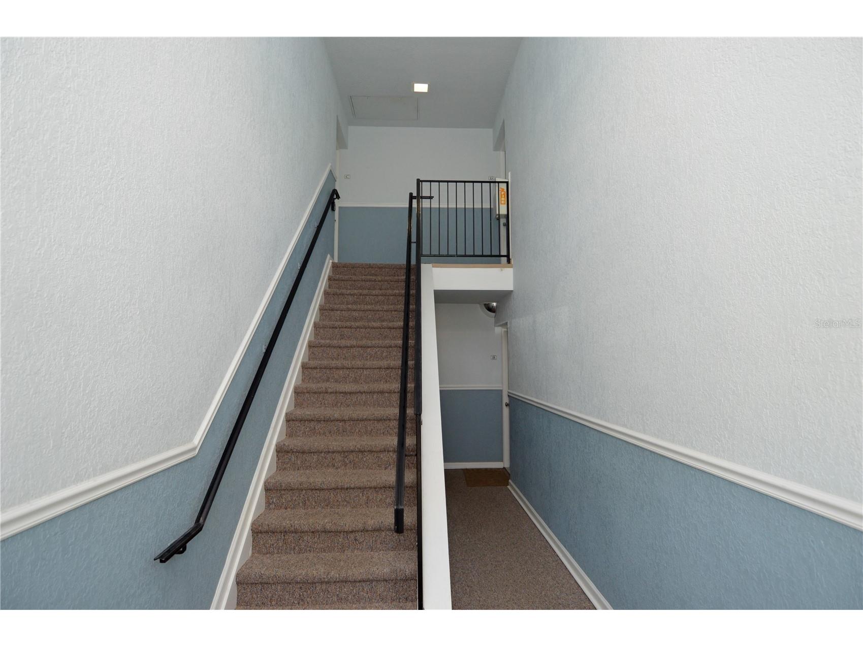 5245 Coquina Key Drive SE #D Saint Petersburg FL 33705 TB8479406 image4