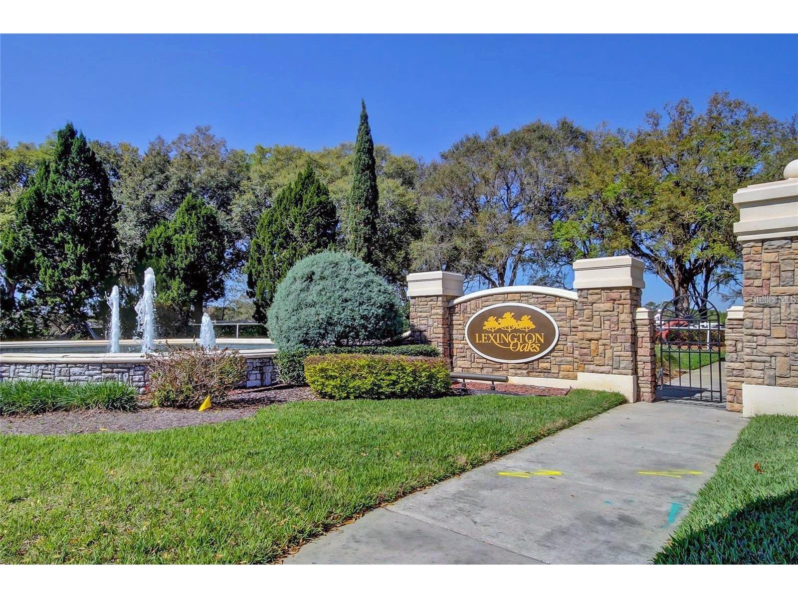 5245 Gato Del Sol Circle Wesley Chapel FL 33544 TB8494196 image56