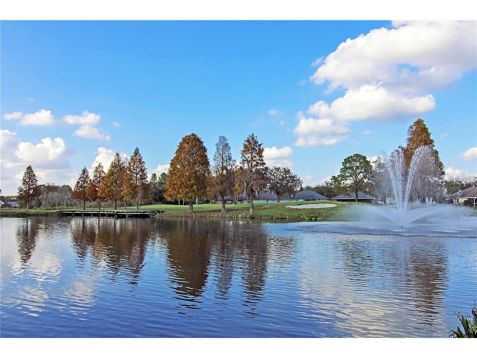 5245 Gato Del Sol Circle Wesley Chapel FL 33544 TB8494196 image57