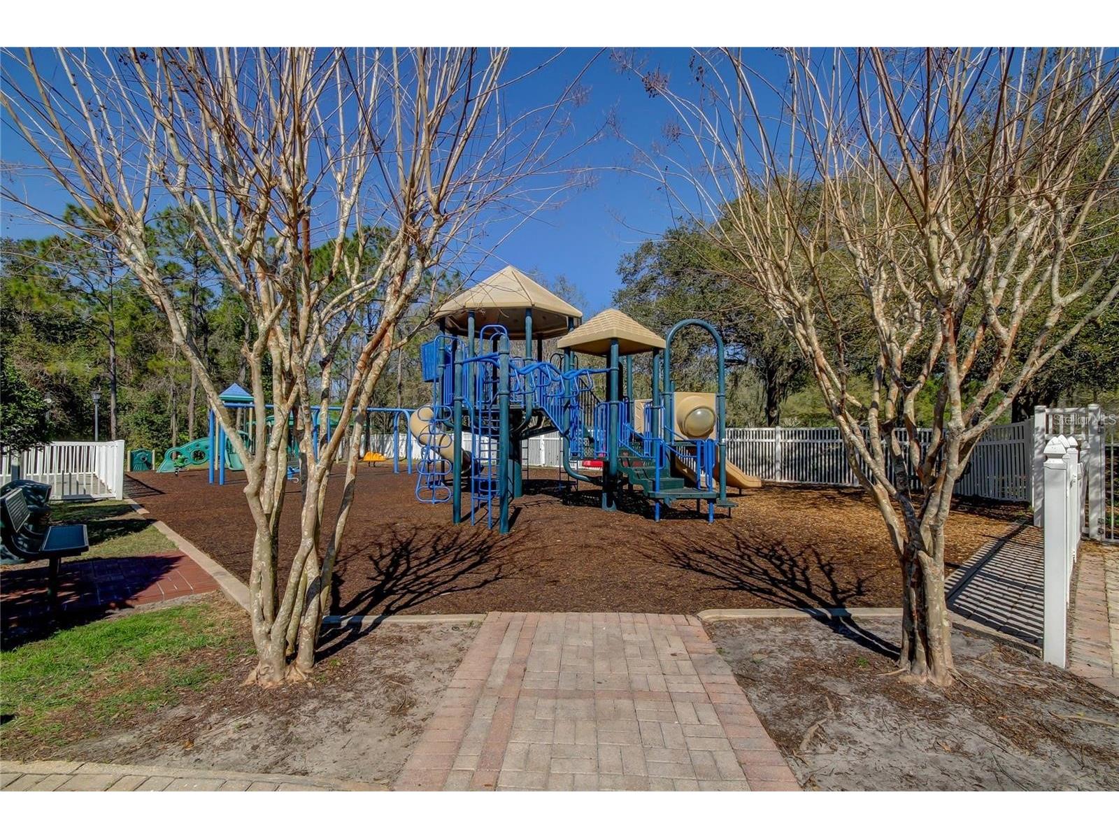 5245 Gato Del Sol Circle Wesley Chapel FL 33544 TB8494196 image62