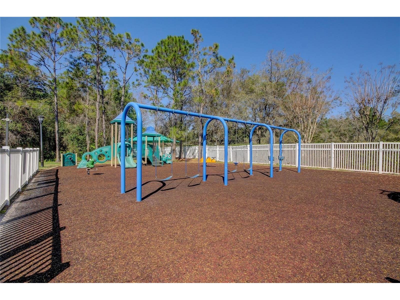 5245 Gato Del Sol Circle Wesley Chapel FL 33544 TB8494196 image63