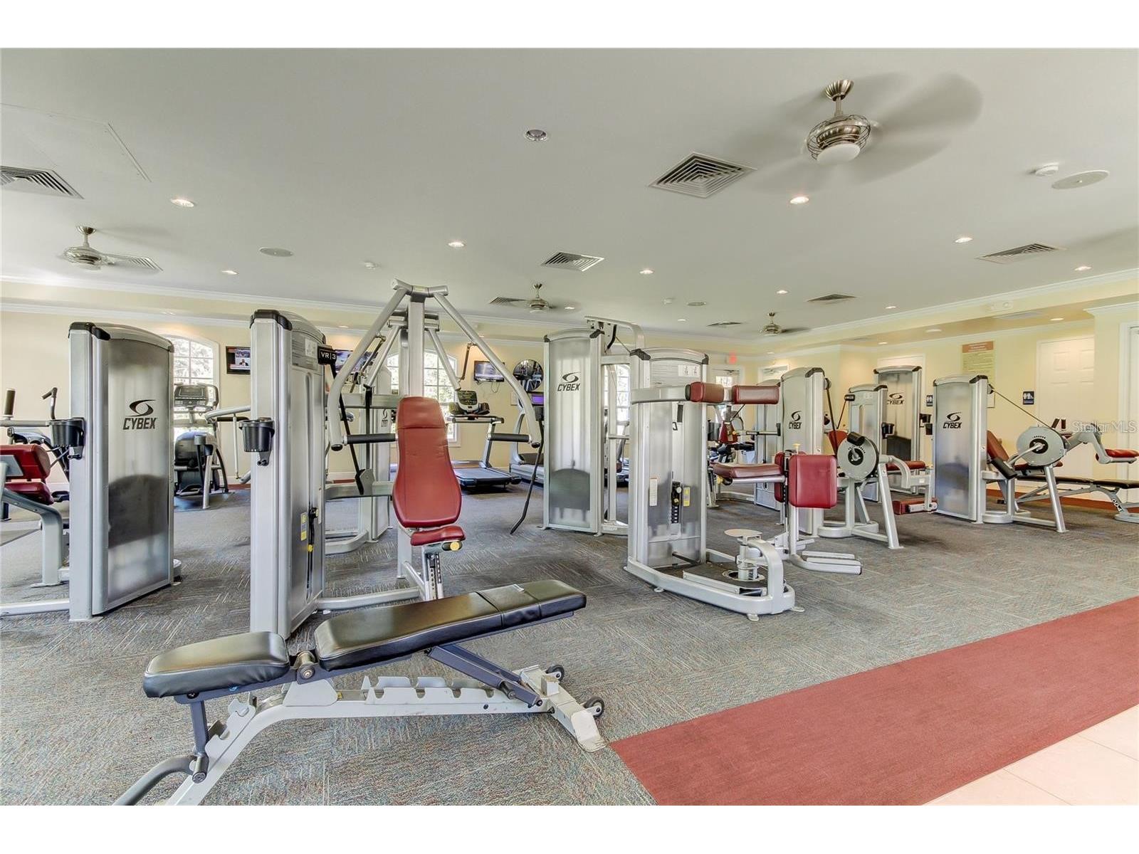 5245 Gato Del Sol Circle Wesley Chapel FL 33544 TB8494196 image64