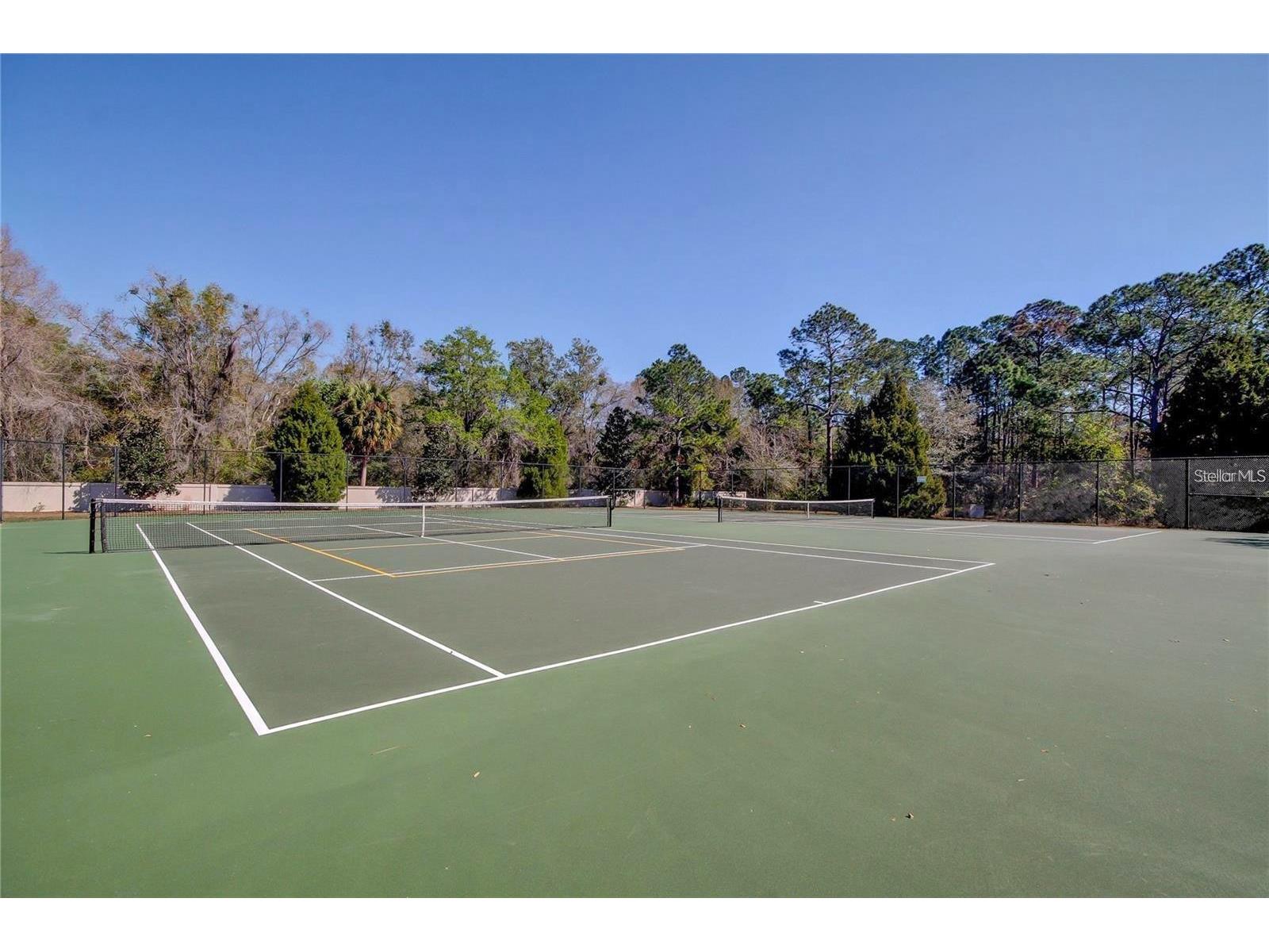 5245 Gato Del Sol Circle Wesley Chapel FL 33544 TB8494196 image66
