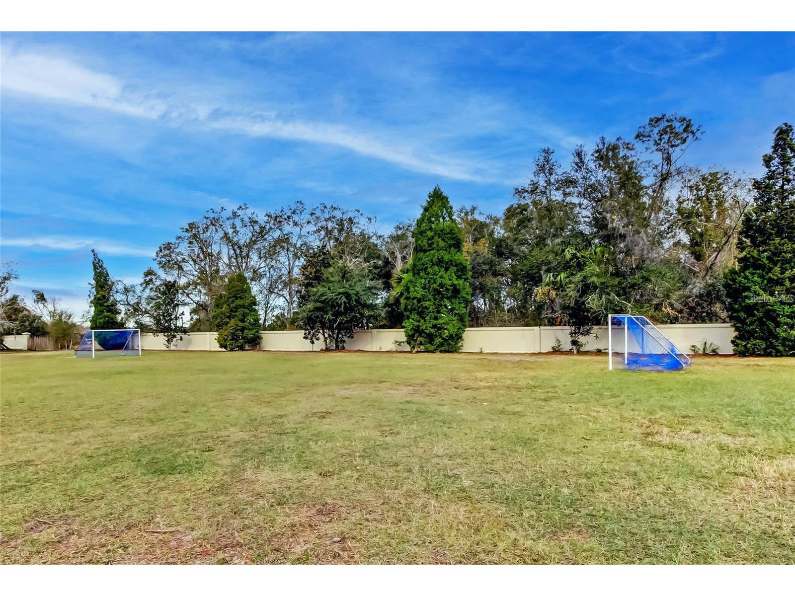 5245 Gato Del Sol Circle Wesley Chapel FL 33544 TB8494196 image67