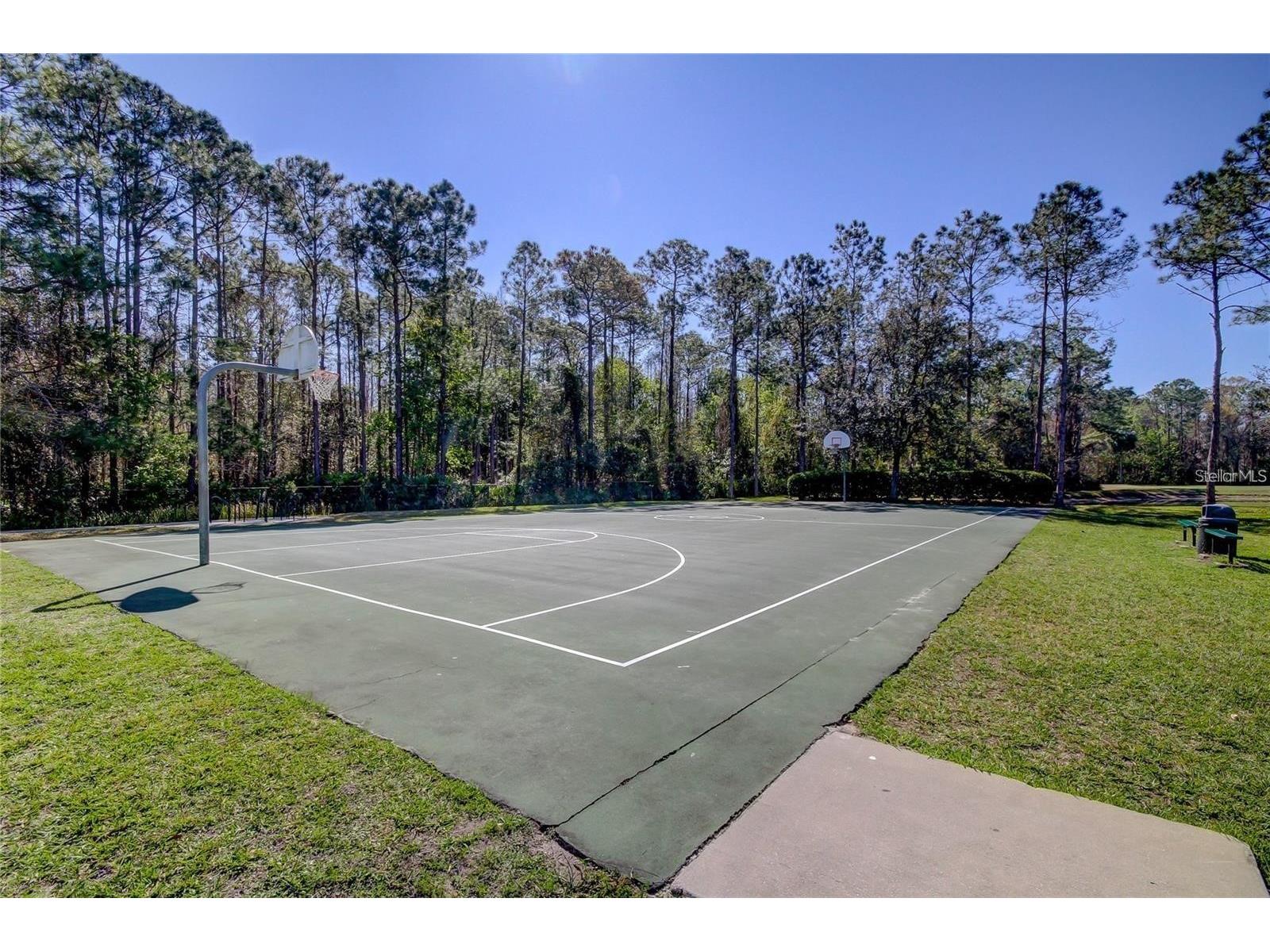 5245 Gato Del Sol Circle Wesley Chapel FL 33544 TB8494196 image68