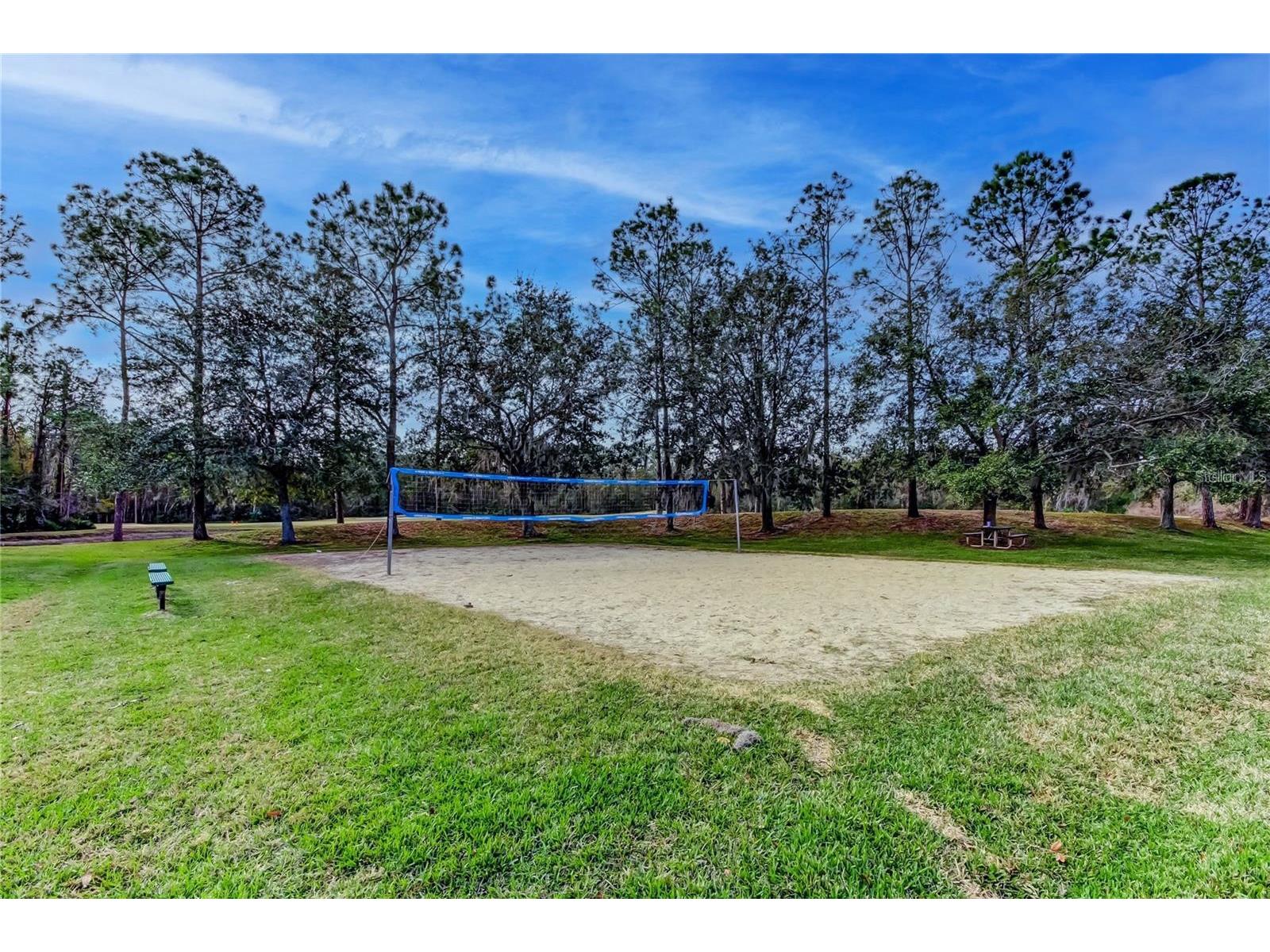 5245 Gato Del Sol Circle Wesley Chapel FL 33544 TB8494196 image69