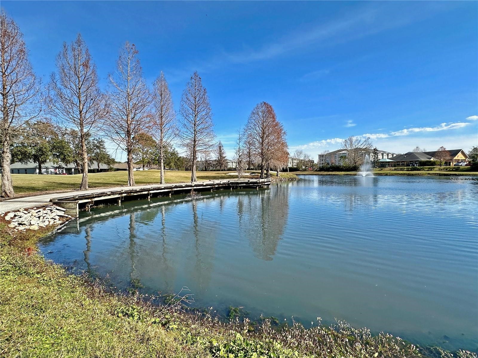 5245 Gato Del Sol Circle Wesley Chapel FL 33544 TB8494196 image76