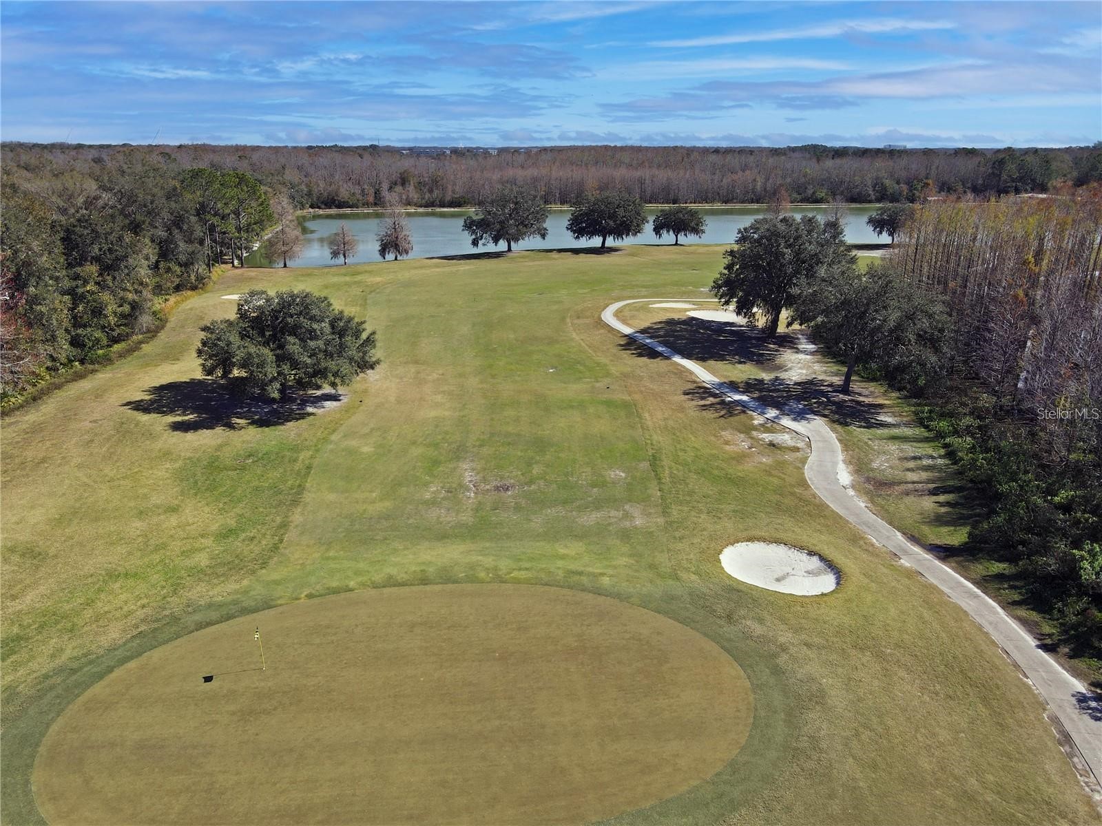 5245 Gato Del Sol Circle Wesley Chapel FL 33544 TB8494196 image77