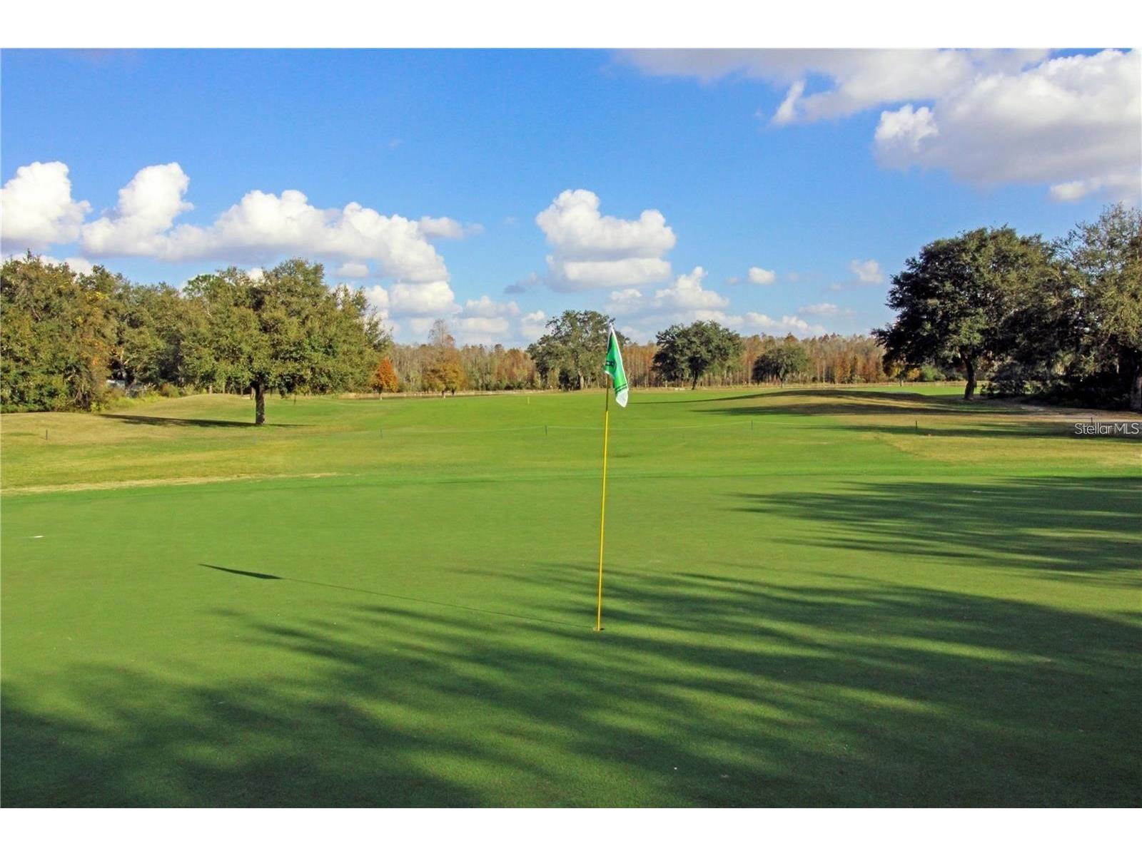 5245 Gato Del Sol Circle Wesley Chapel FL 33544 TB8494196 image78