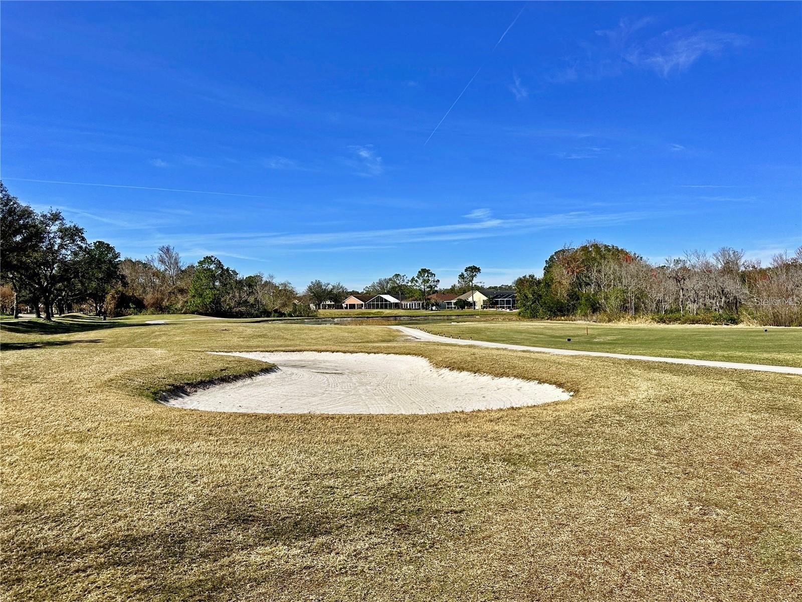 5245 Gato Del Sol Circle Wesley Chapel FL 33544 TB8494196 image79