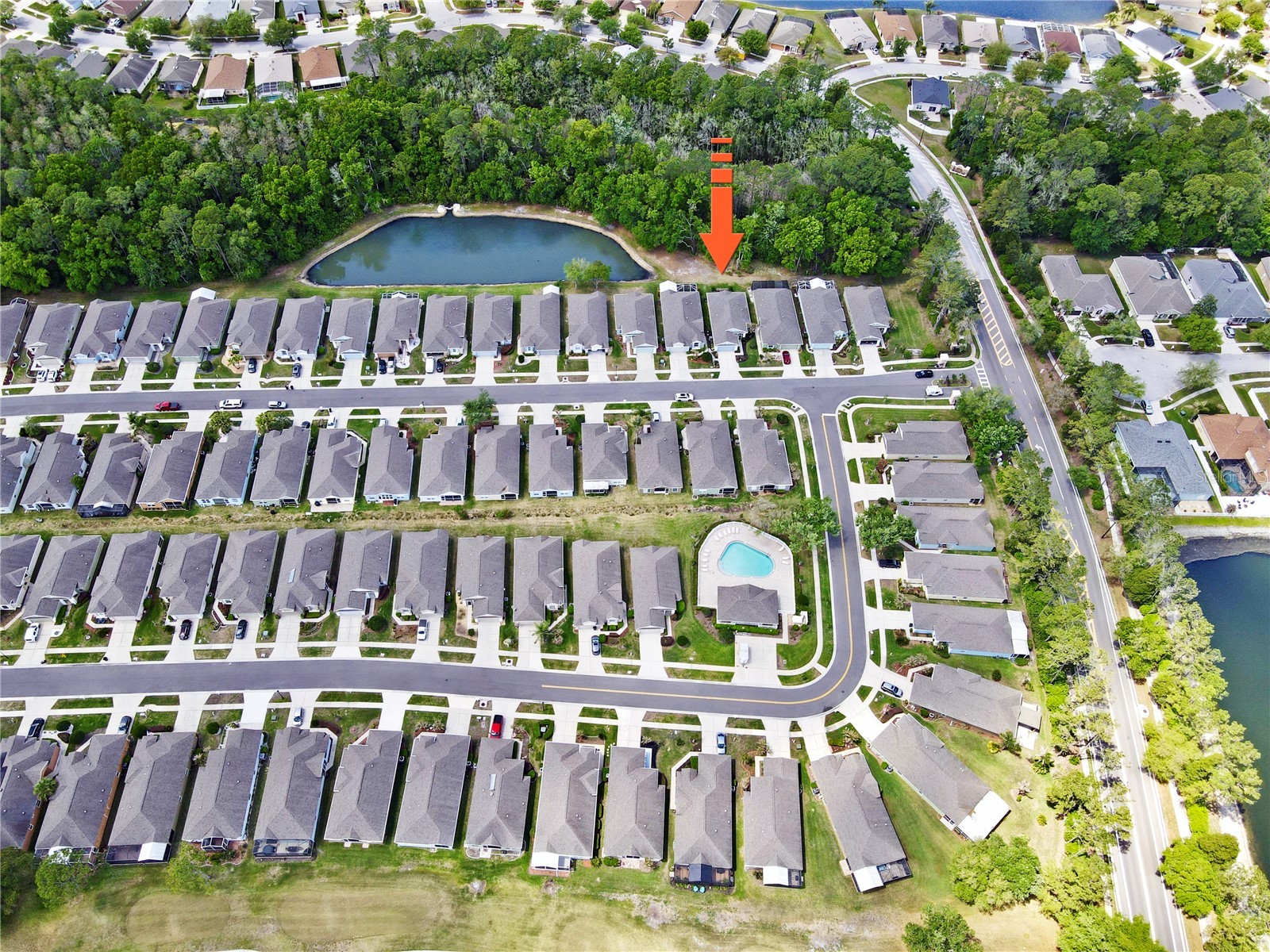 5245 Gato Del Sol Circle Wesley Chapel FL 33544 TB8494196 image8