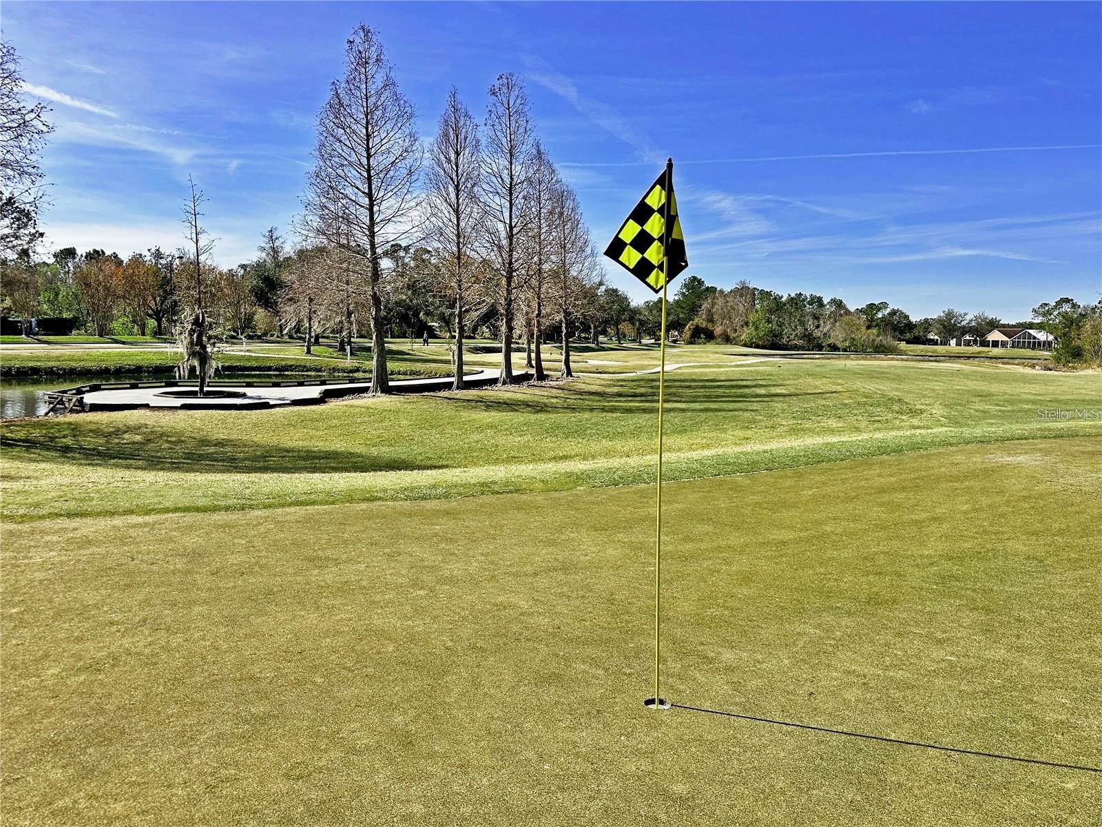 5245 Gato Del Sol Circle Wesley Chapel FL 33544 TB8494196 image80
