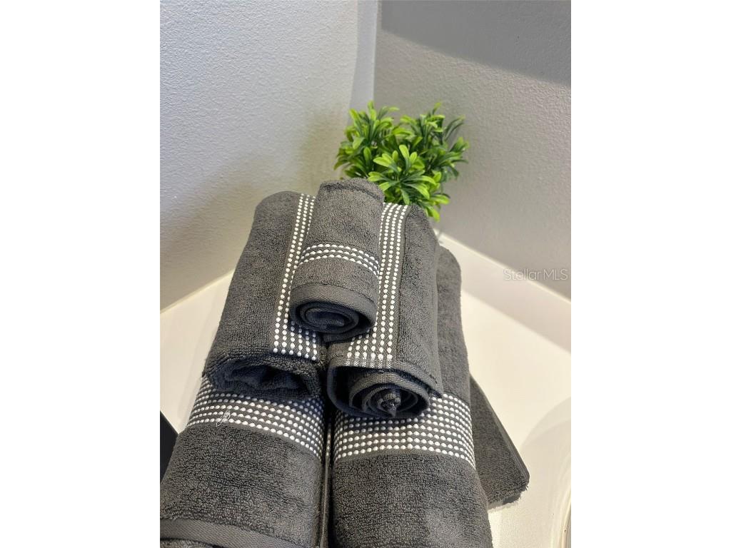 5245 W Irlo Bronson Memorial Highway #186 Kissimmee FL 34746 O6331953 image9