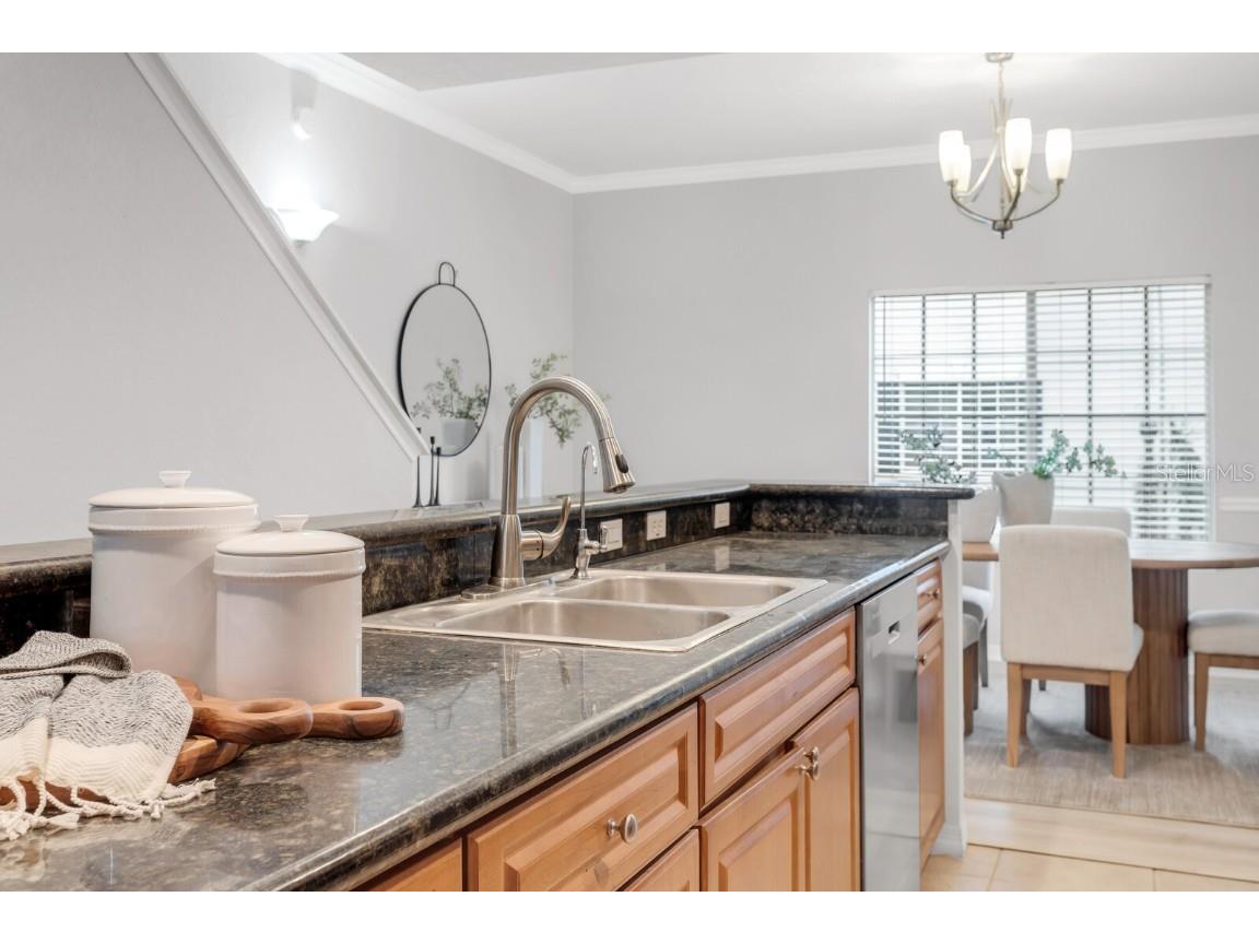 5246 Hampton Beach Place Tampa FL 33609 TB8456342 image10