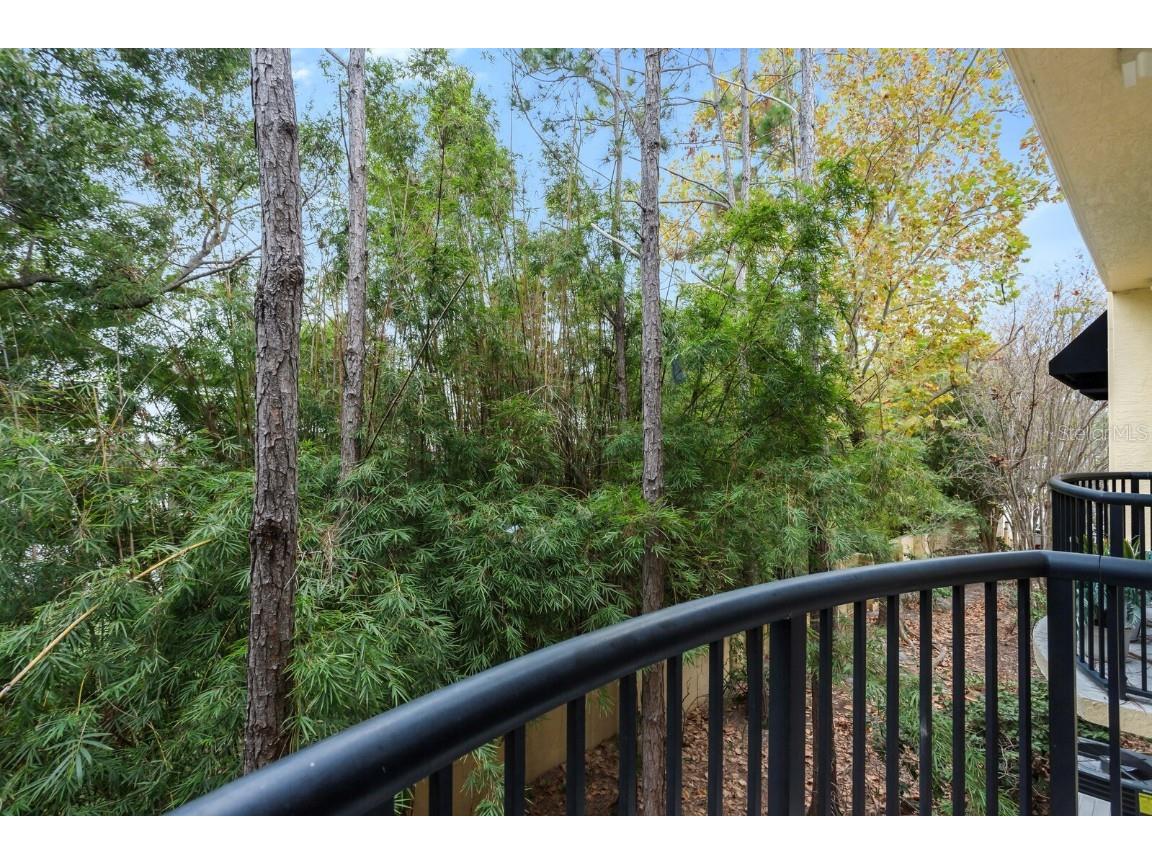 5246 Hampton Beach Place Tampa FL 33609 TB8456342 image2