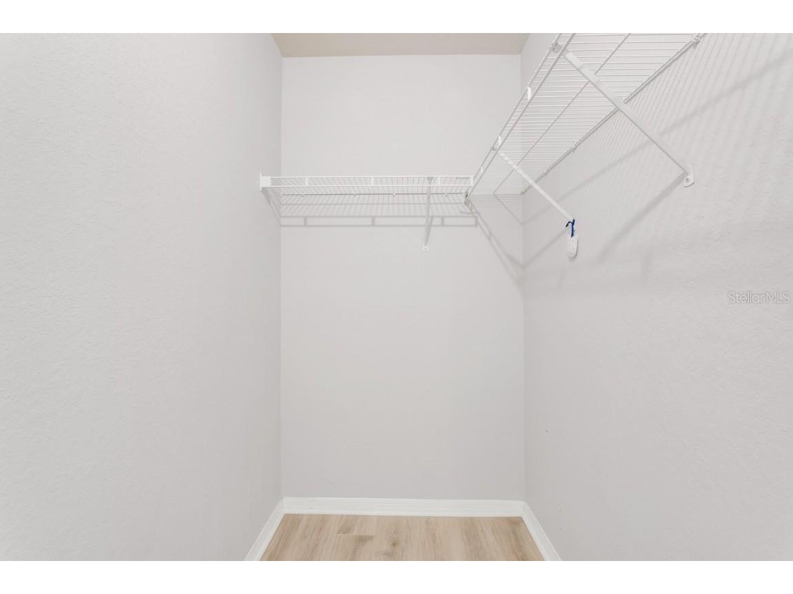 5246 Hampton Beach Place Tampa FL 33609 TB8456342 image22