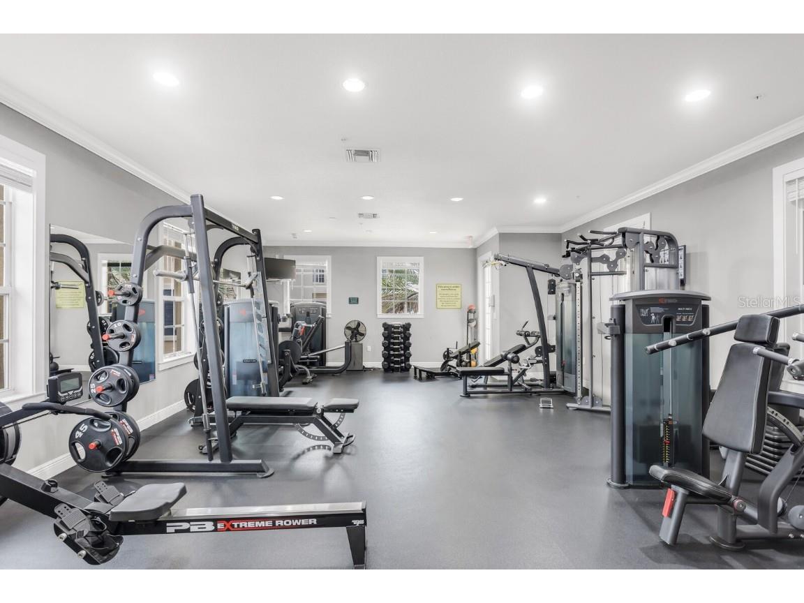 5246 Hampton Beach Place Tampa FL 33609 TB8456342 image28