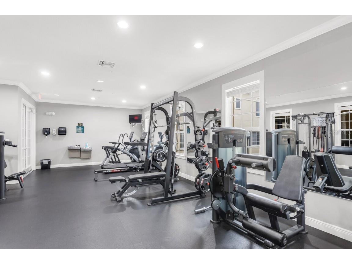 5246 Hampton Beach Place Tampa FL 33609 TB8456342 image29