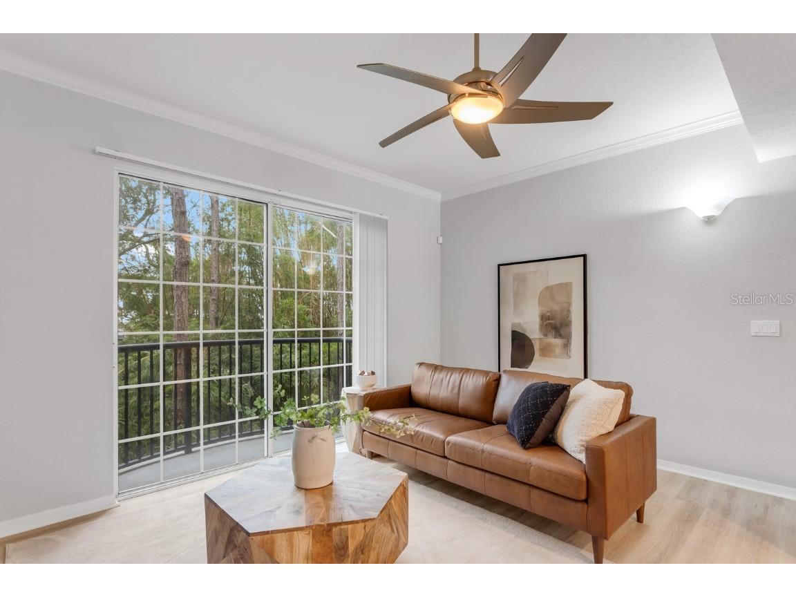 5246 Hampton Beach Place Tampa FL 33609 TB8456342 image3