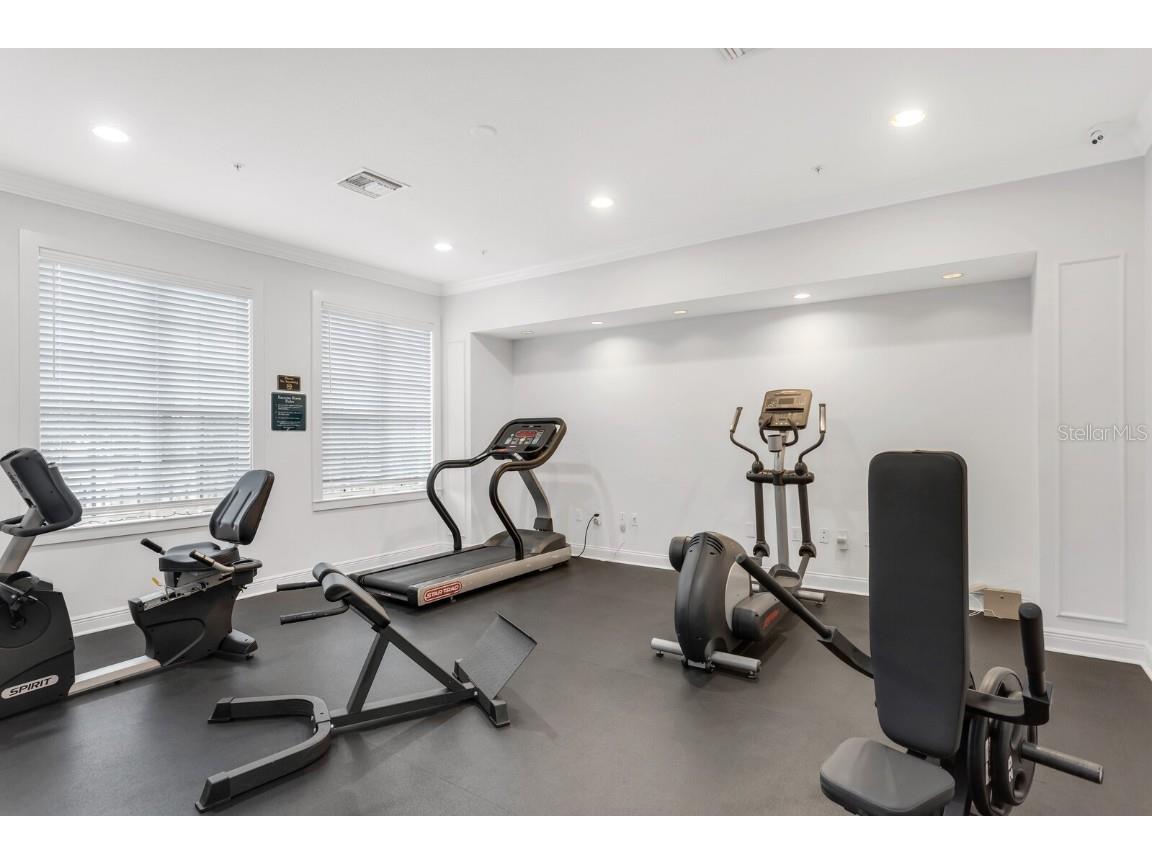 5246 Hampton Beach Place Tampa FL 33609 TB8456342 image30