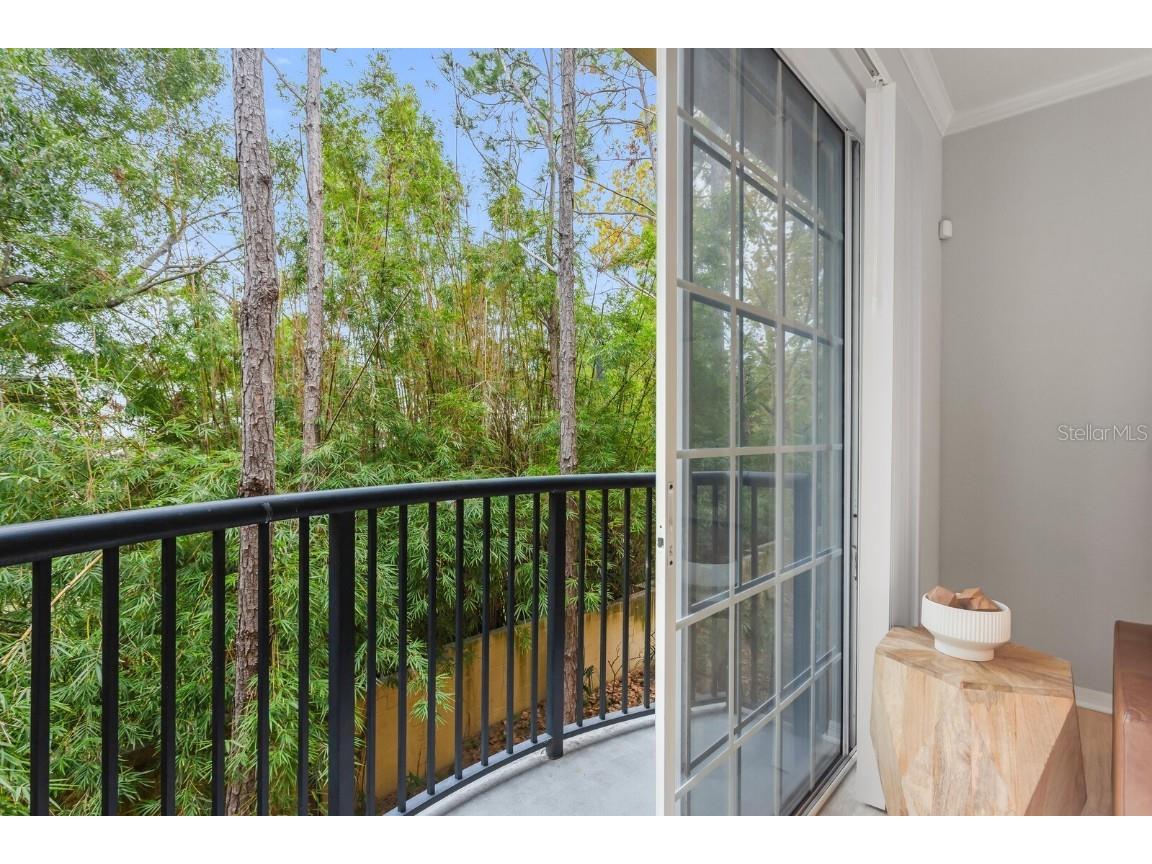 5246 Hampton Beach Place Tampa FL 33609 TB8456342 image6