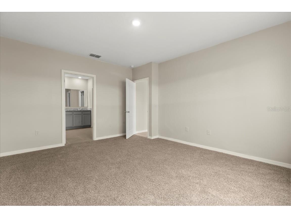 5246 Mahogany Drive Mount Dora FL 32757 S5139570 image18