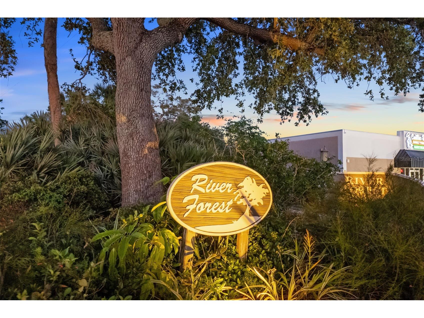 5247 Carmilfra Drive Sarasota FL 34231 - PHILLIPPI CREEK A4678319 image31