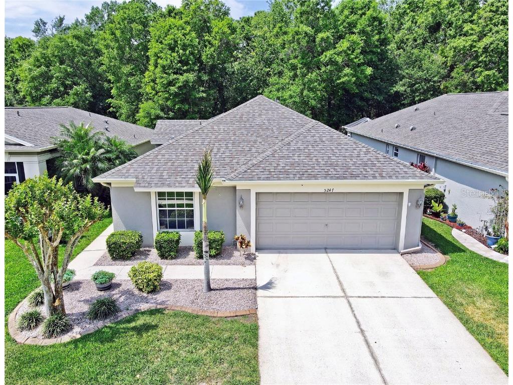 5247 Gato Del Sol Circle Wesley Chapel FL 33544 T3438016 image1