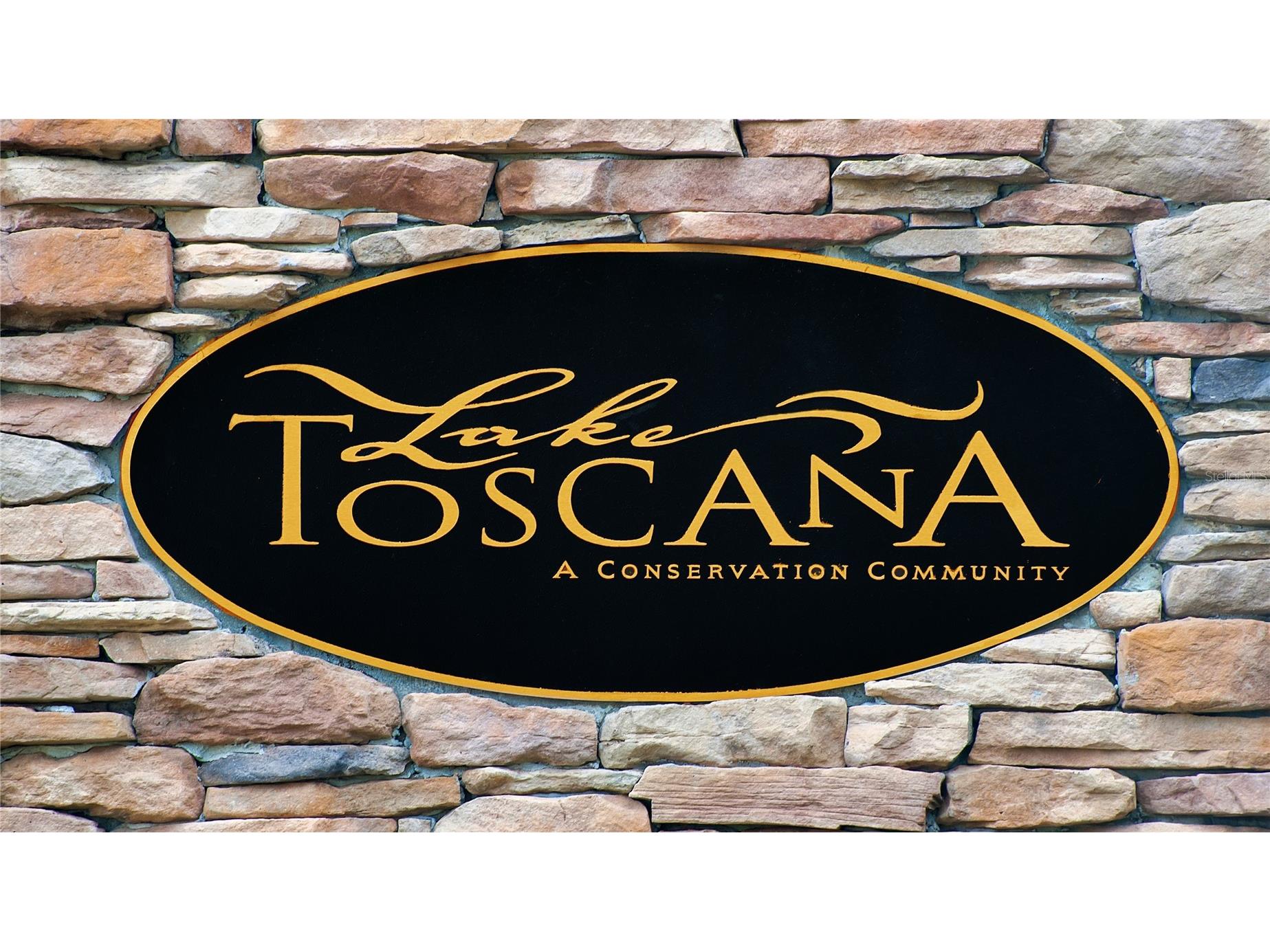 5247 Lake Venice Drive Wimauma FL 33598 TB8497288 image10