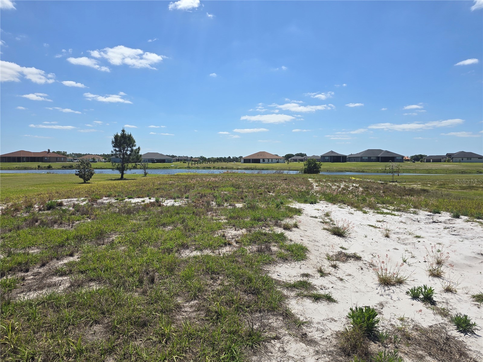 5247 Lake Venice Drive Wimauma FL 33598 TB8497288 image13