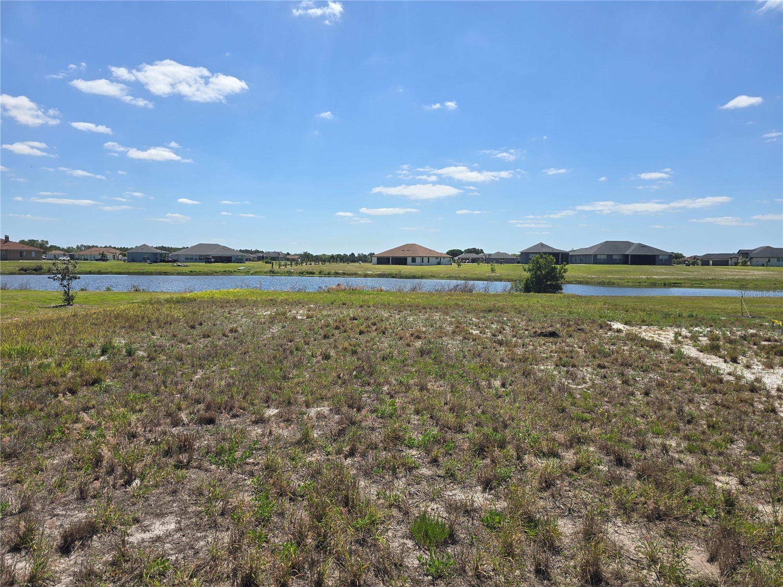 5247 Lake Venice Drive Wimauma FL 33598 TB8497288 image14