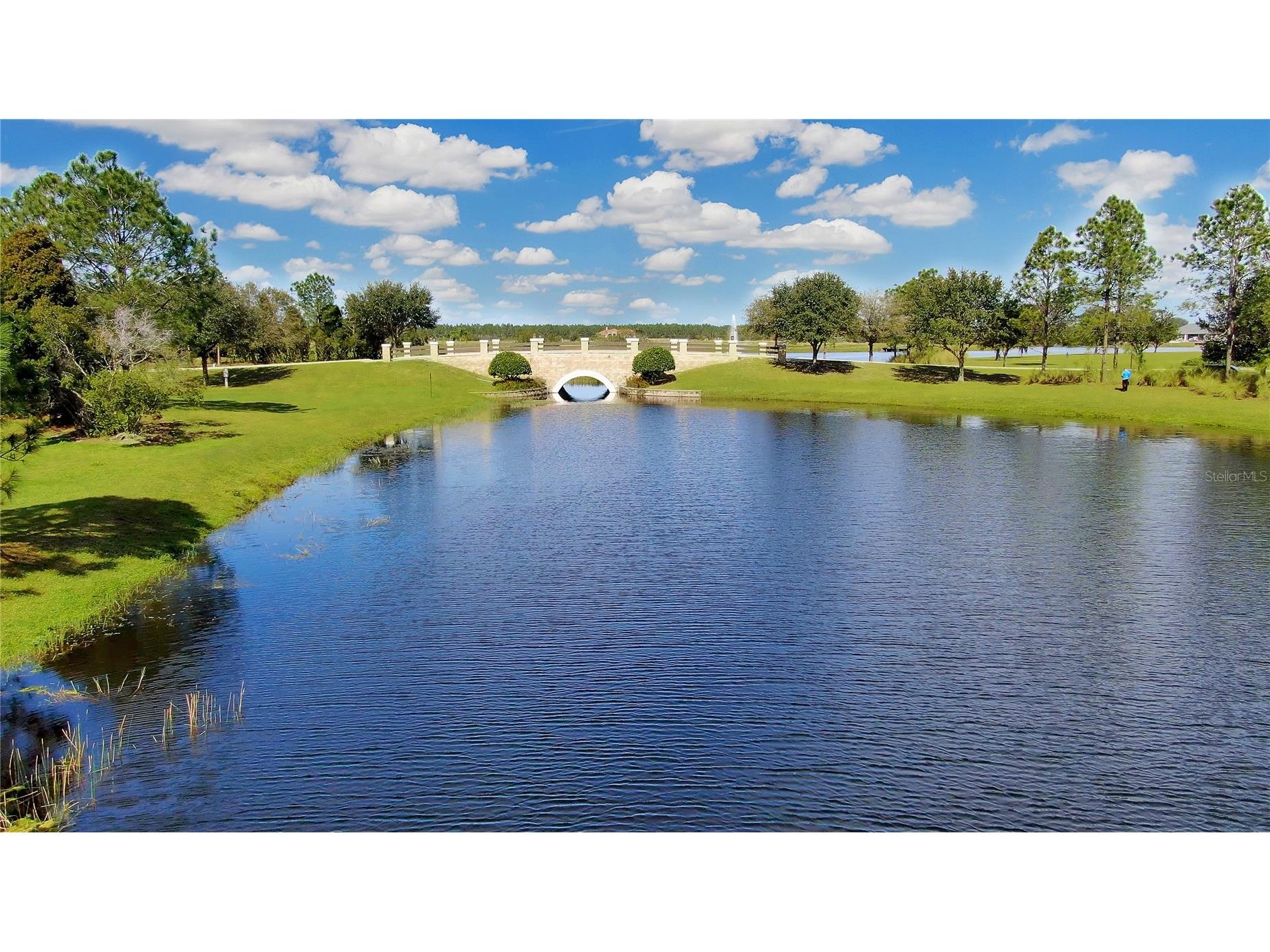 5247 Lake Venice Drive Wimauma FL 33598 TB8497288 image8