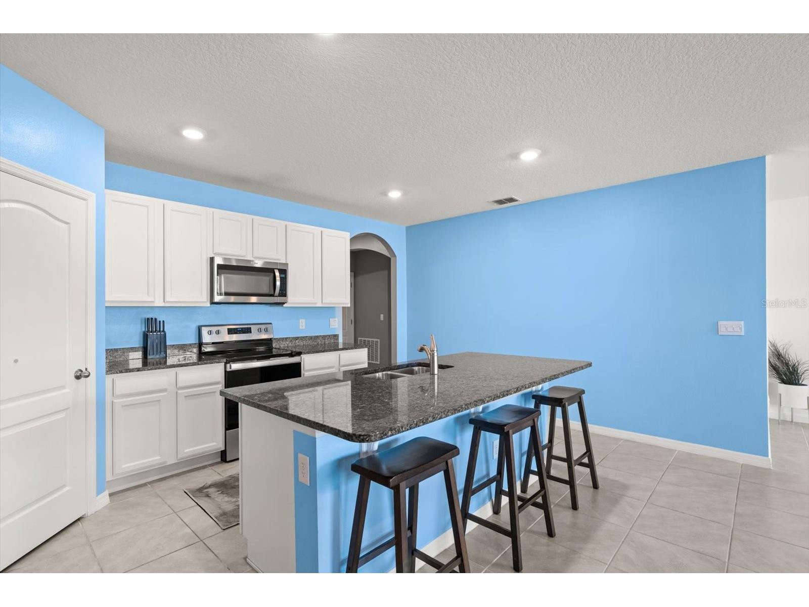 5247 Mahogany Drive Mount Dora FL 32757 O6373383 image9