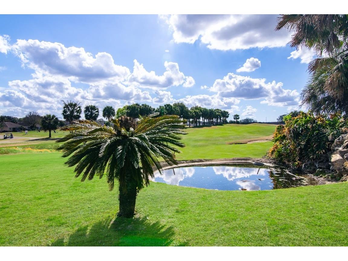 5247 NW 18th Street Ocala FL 34482 OM672896 image28