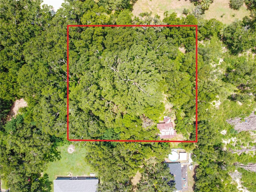 5247 Old Highway 37 Lakeland FL 33811 O6329273 image5