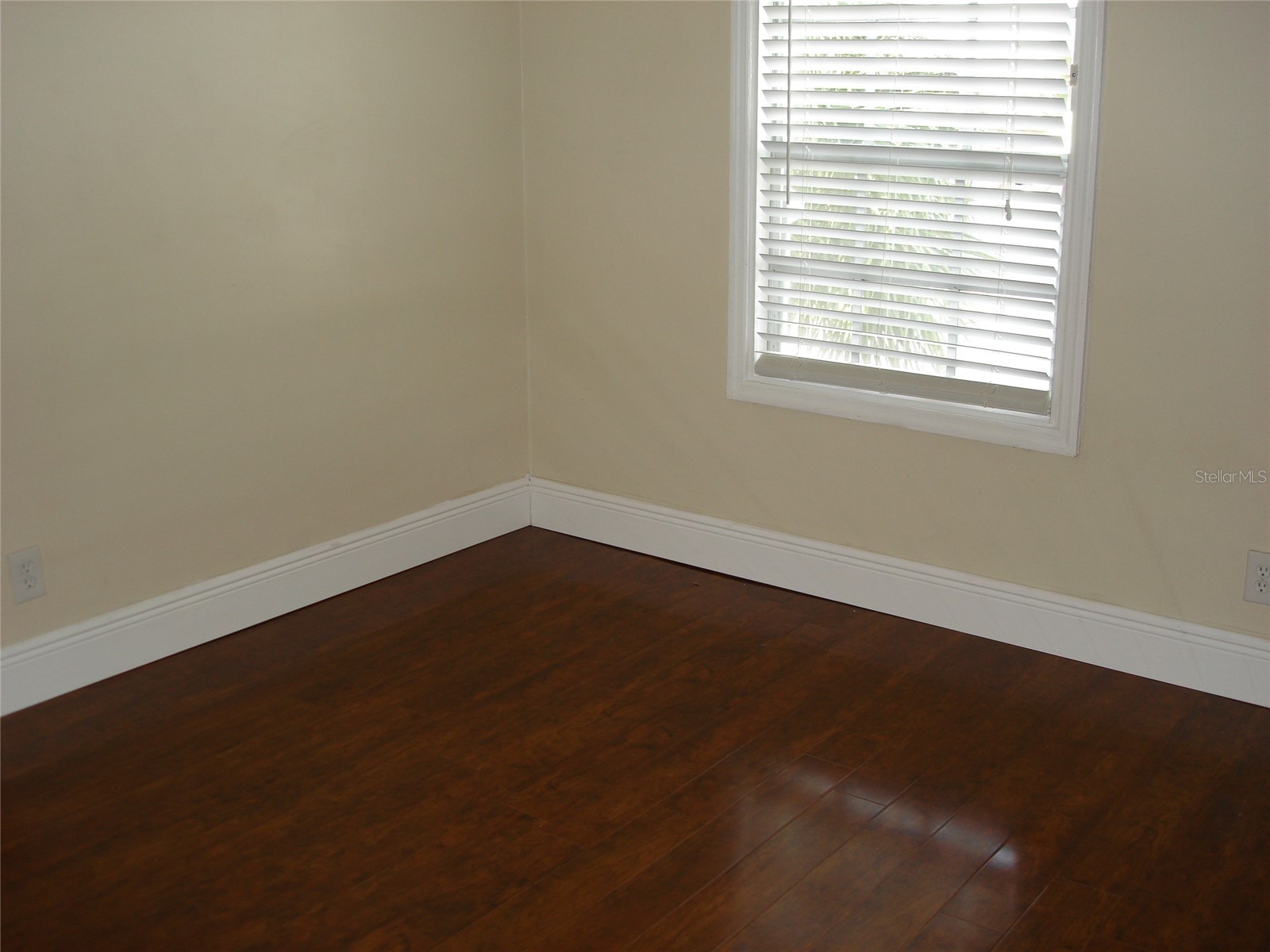 5248 Beach Drive SE #5248 Saint Petersburg FL 33705 - TAMPA BAY TB8514670 image13