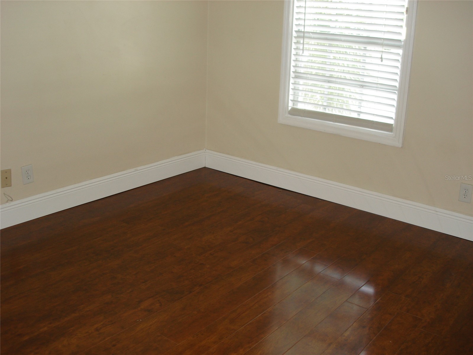 5248 Beach Drive SE #5248 Saint Petersburg FL 33705 - TAMPA BAY TB8514670 image20