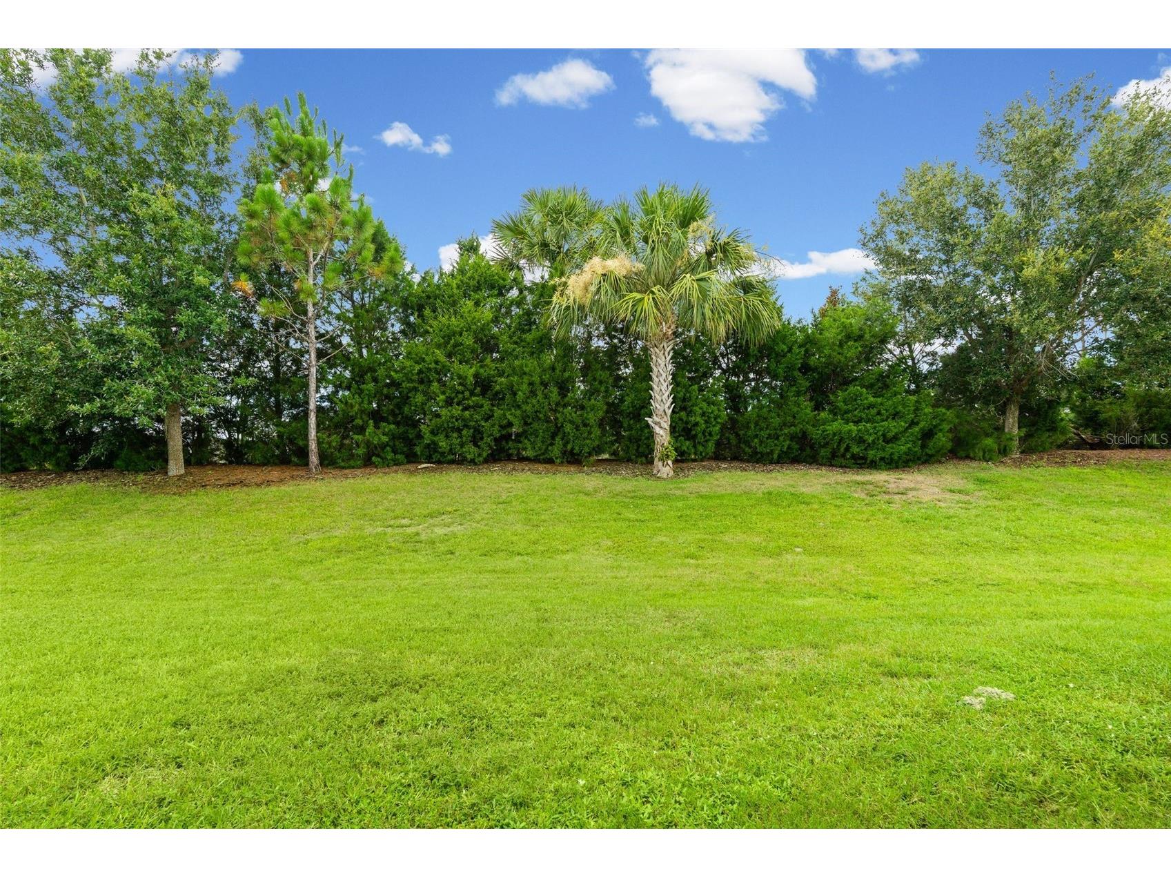 5248 Blossom Cove Bradenton FL 34211 A4698613 image33